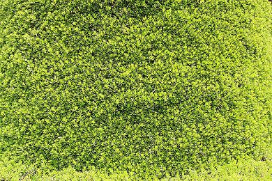 《模拟农场25》已推出 但因语言问题褒贬不一